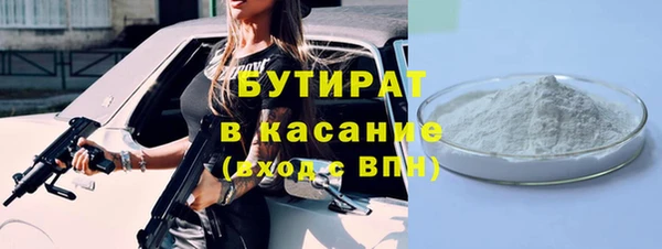 индика Алзамай