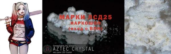 индика Алзамай