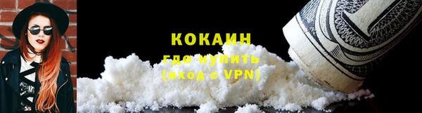 индика Алзамай