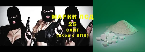 индика Алзамай